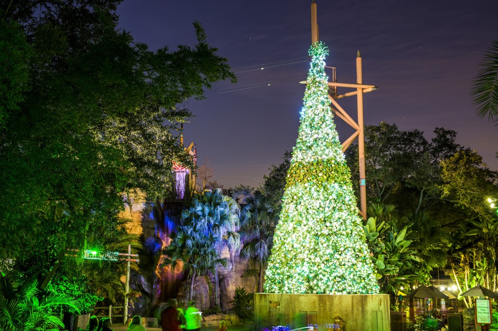 2014_Busch_Gardens_Tampa_Jungala_Tree