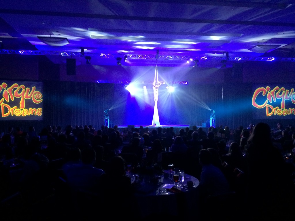 Cirque Dreams5