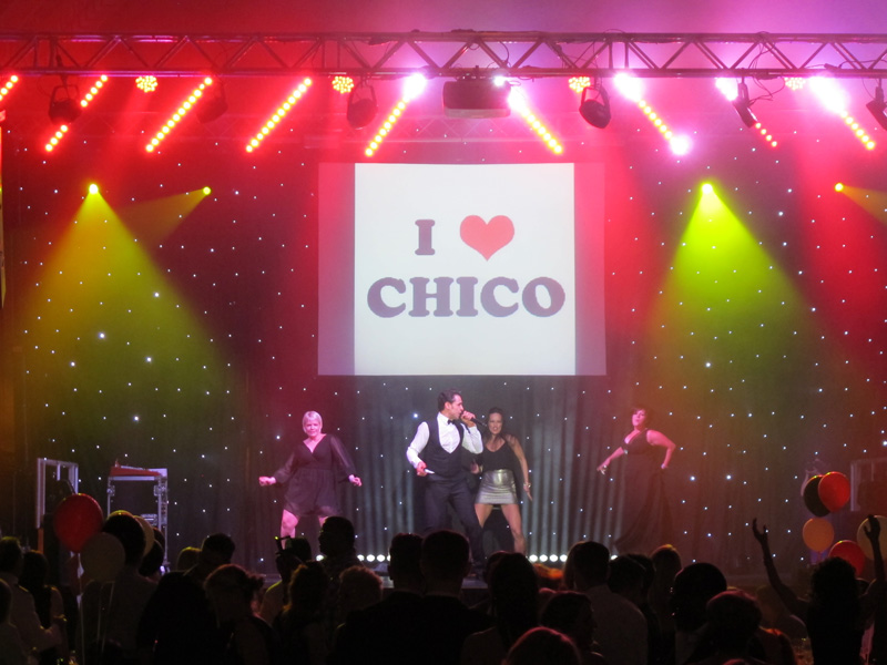 Chauvet-professional-IFC-1