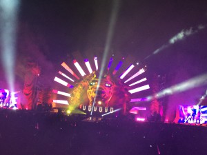 Life in Color 4