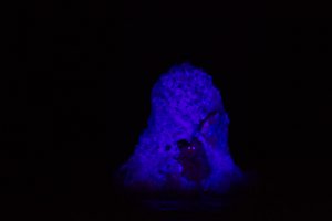 nelsons-rock-5