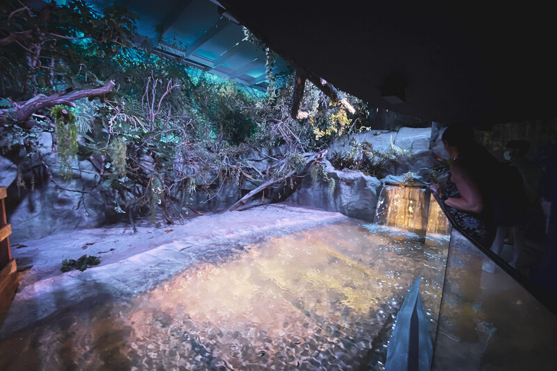 Zoo Antwerpen - Ovation 3 Zoo Antwerpen - Ovation 3