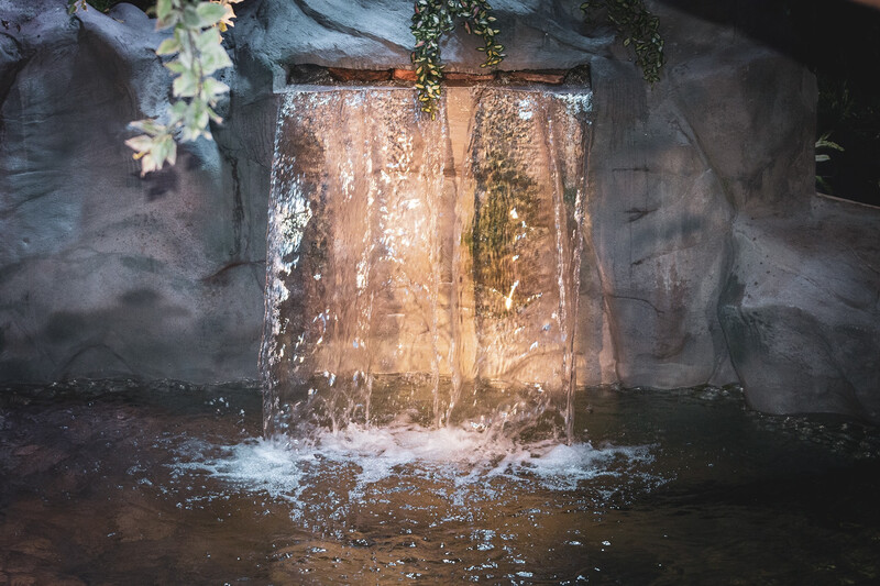 Zoo Antwerpen - Ovation 5 Zoo Antwerpen - Ovation 5