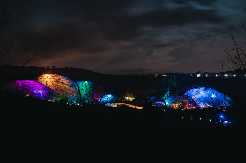 Eden Project - Rogue Outcast 1 Hybrid 3