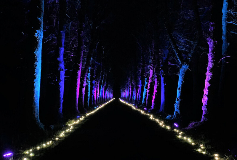 Herentals- Maverick MK3 Profile 2 Herentals- Maverick MK3 Profile 2