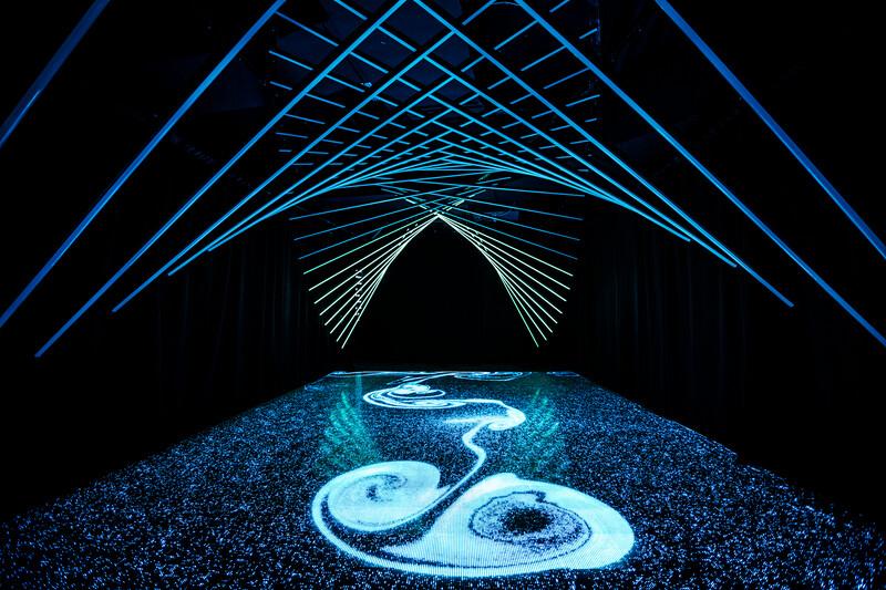DNA Tunnel