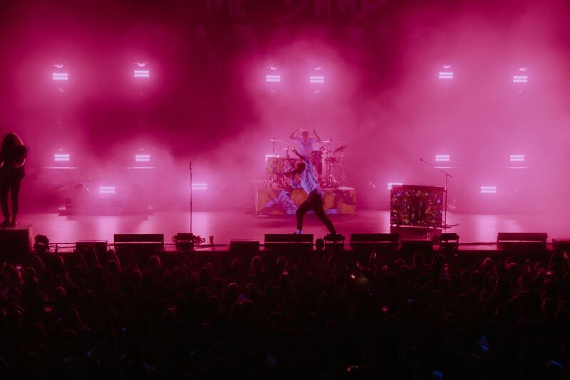 Camino 499_n Camino 499_n